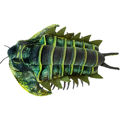 Trilobite Plush