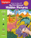 Hidden Picture Dinosaur Book