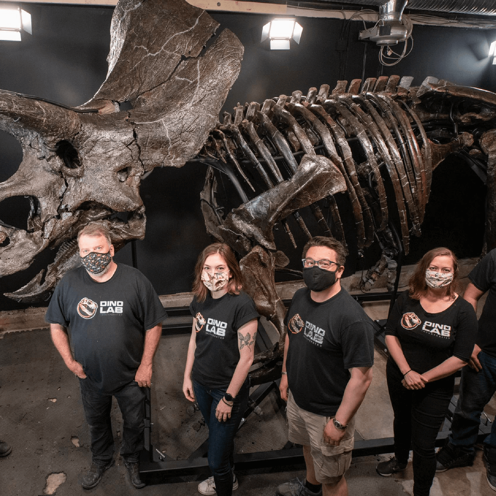 Dino Lab Inc is bringing the fossil experience to kids of all ages